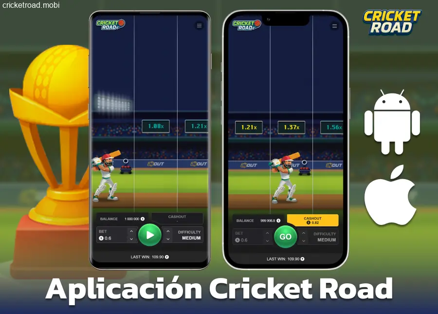 Instalar la aplicación móvil para jugadores de Cricket Road