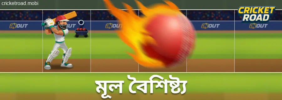 Cricket Road-এর হাইলাইট