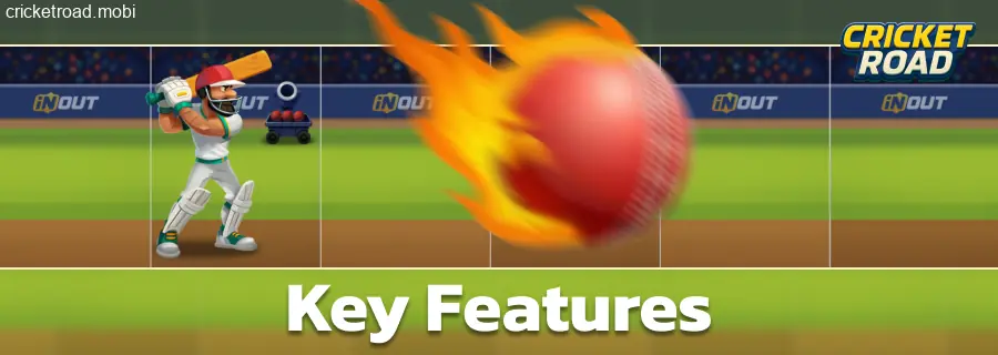 Highlights of Cricket Road