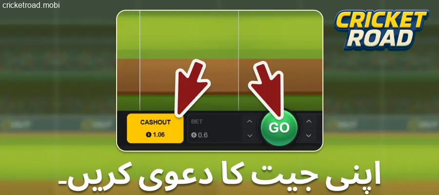 Cricket Road کھیلنا جاری رکھیں