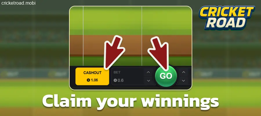 Continue playing Cricket Road