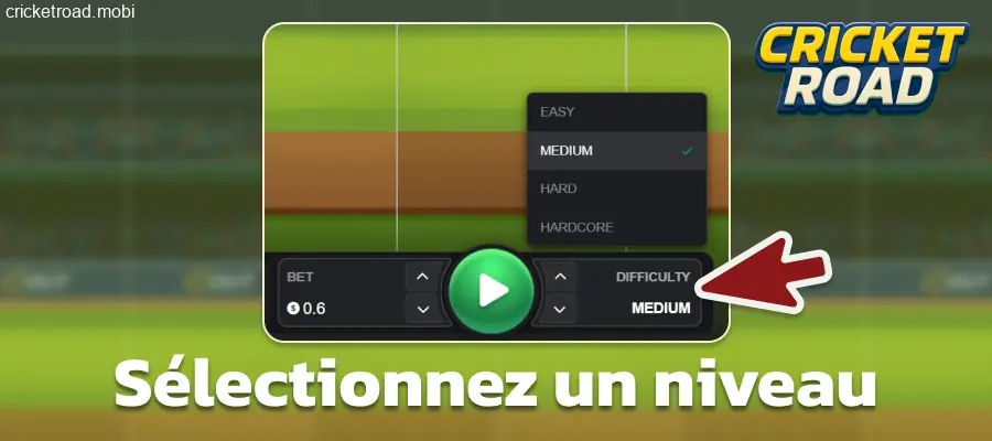 Choisir un niveau de difficulté dans Cricket Road