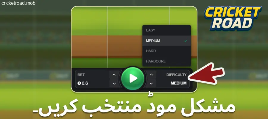 Cricket Road میں مشکل کی سطح منتخب کریں