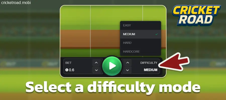 Select a difficulty level in Cricket Road