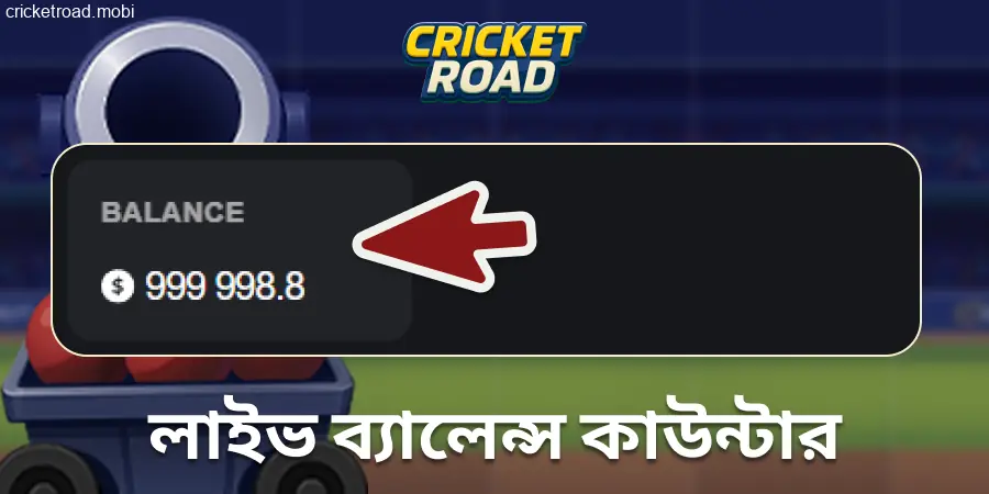 Cricket Road-এর টাকার পরিমাণের স্কেল