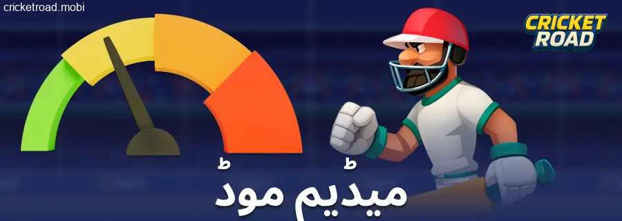 Cricket Road کھلاڑیوں کے لیے مشکل کی دوسری سطح