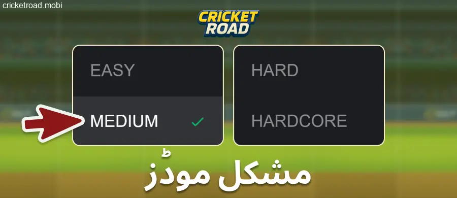 Cricket Road میں مشکل کی سطح منتخب کریں