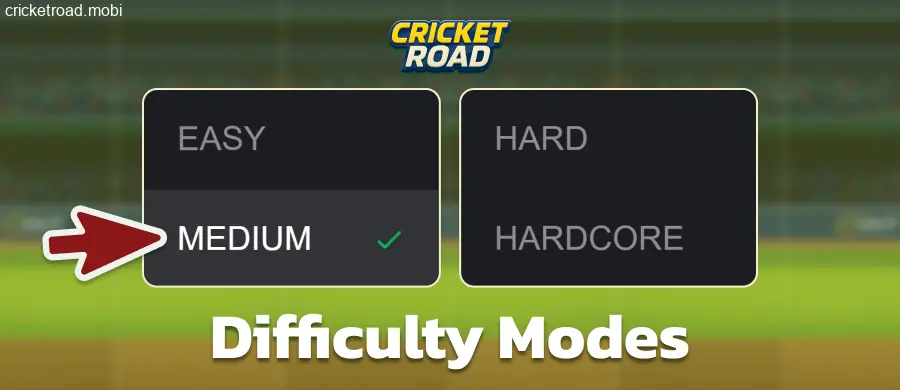 Select a difficulty level in Cricket Road