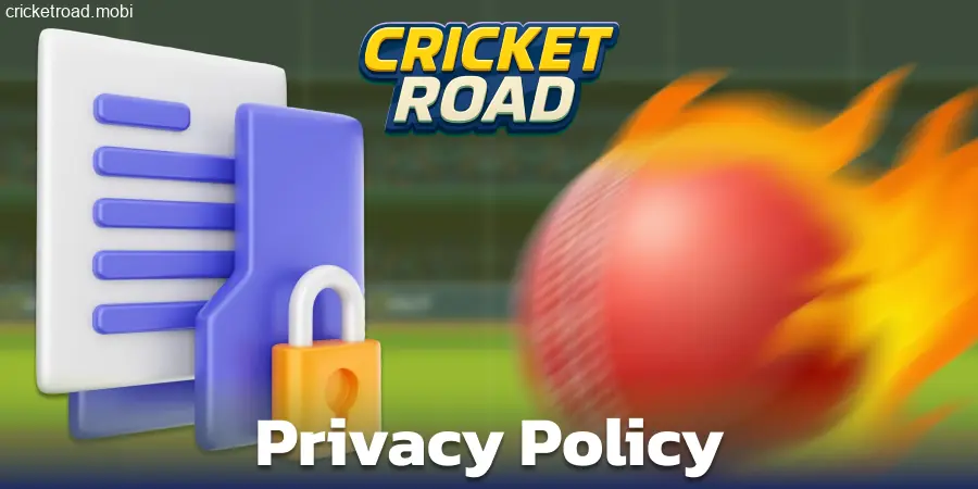 Cricket Road Player Data